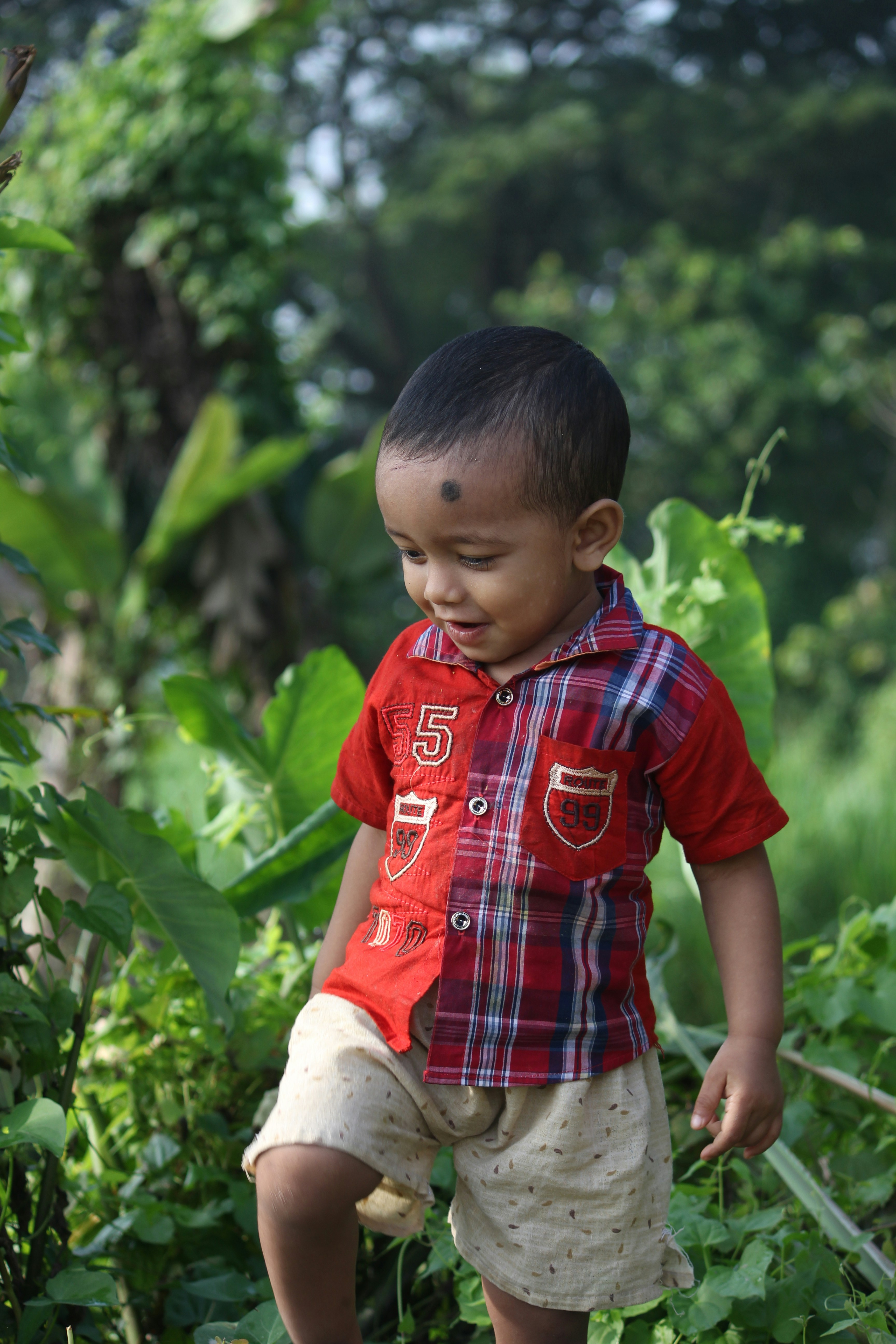 热播封面：霓光追击