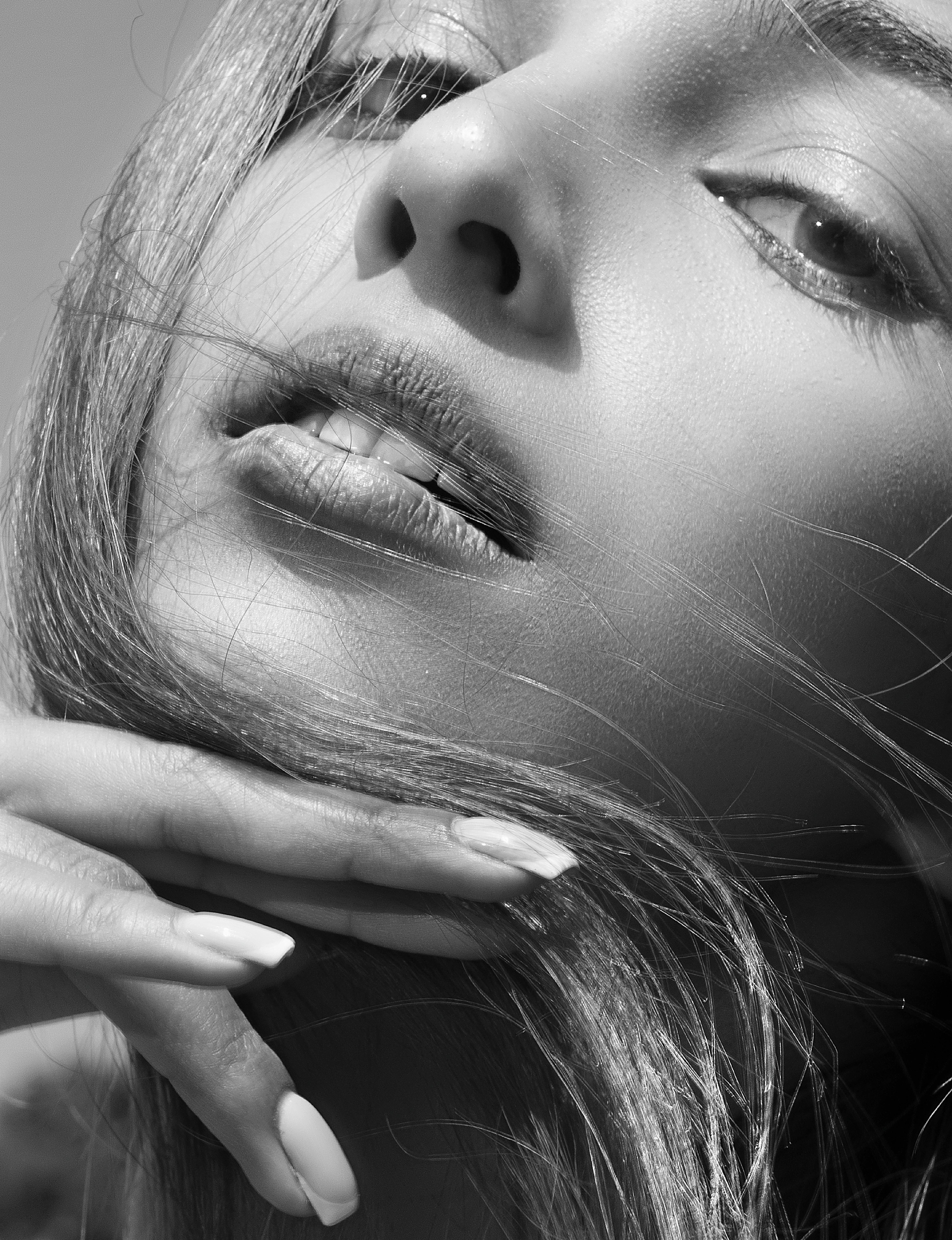 海报：晨雾协议